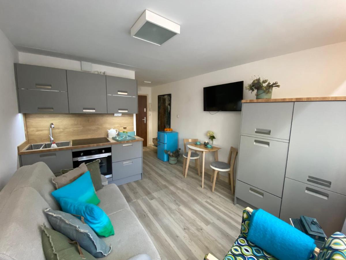 Apartament Studio コウォブジェク エクステリア 写真